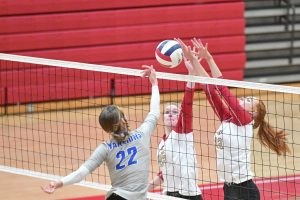 University falls 3-1 to Warren (Oh.) in OVAC semifinal